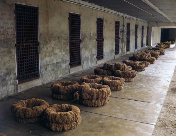 View showing stacks of sponges in Tarpon Springs, Florida.