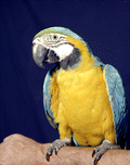 90770