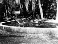 67146