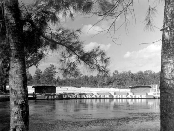 Scene showing the new underwater theater.