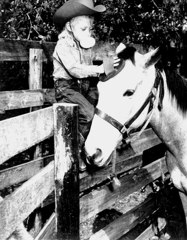 Young rider, Patty Blackmon grooms her horse Buck - Ocala, Florida 