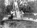 69325
