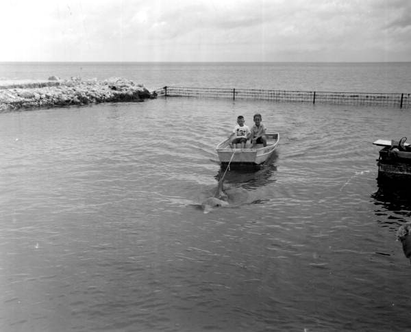Boys being towed in boat pulled by Flipper - Marathon, Florida