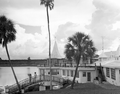 83233