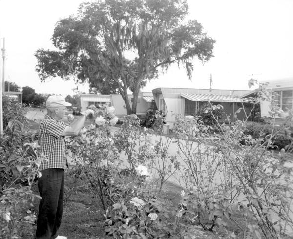 Mr. Paul E. Linthieum tends to the garden near the trailers - Fort Lauderdale, Florida 