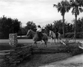 58854