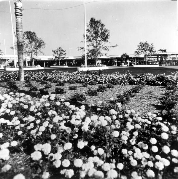 View of flower beds at the Magic Kingdom - Orlando, Florida