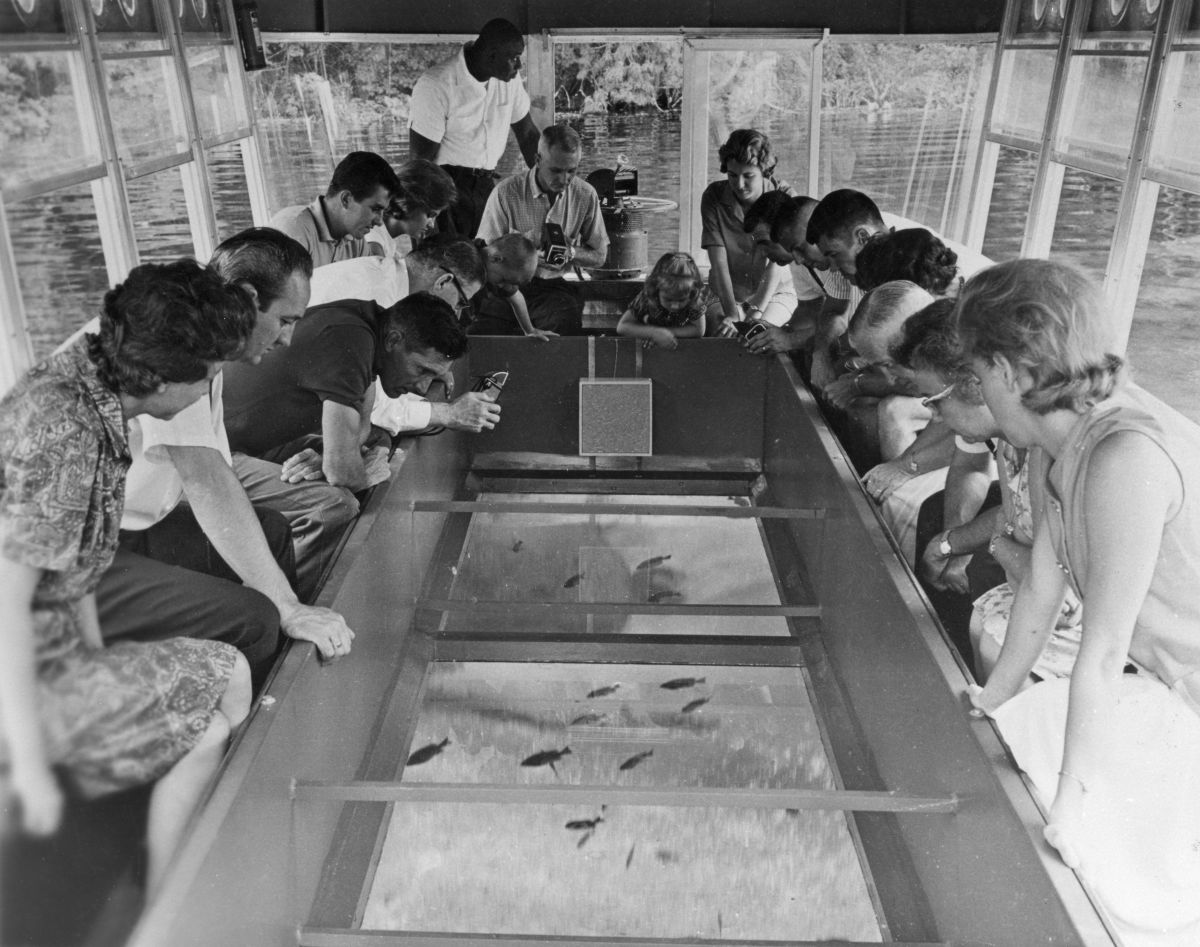 Tourists in a glass-bottom boat at Silver Springs - Ocala, Florida 