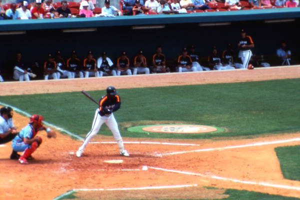 Houston Astros spring training game in Kissimmee, Florida.
