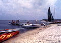 94231