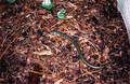 97211