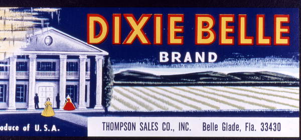 Thompson Sales Company's Dixie Belle Brand citrus label