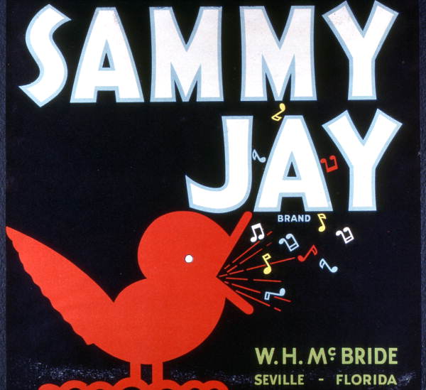 W.H. McBride's Sammy Jay Brand citrus label