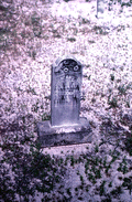 119877
