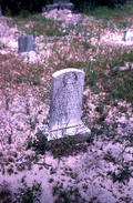 119878
