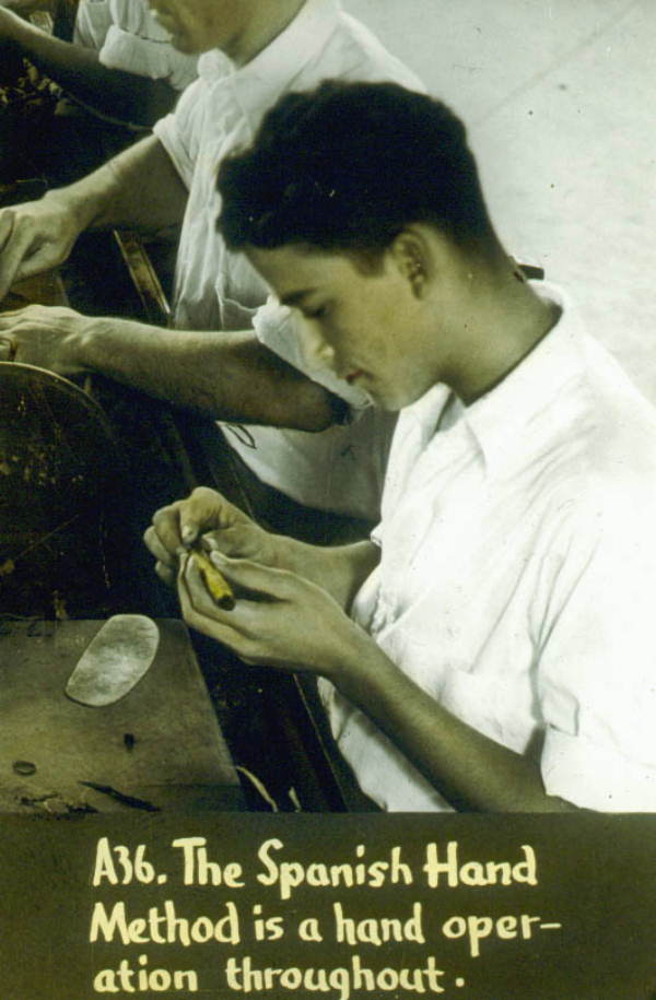 Tampa's tobacco industry