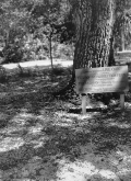 144427