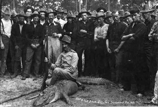 Alligator shot by the captain of 4th Illinois Volunteers - Jacksonville, Florida