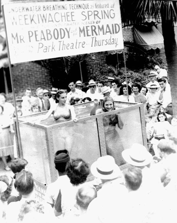 'Mermaids' in fishtank to promote film - Tampa, Florida