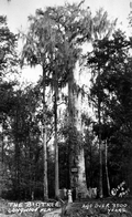151907