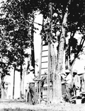 151930