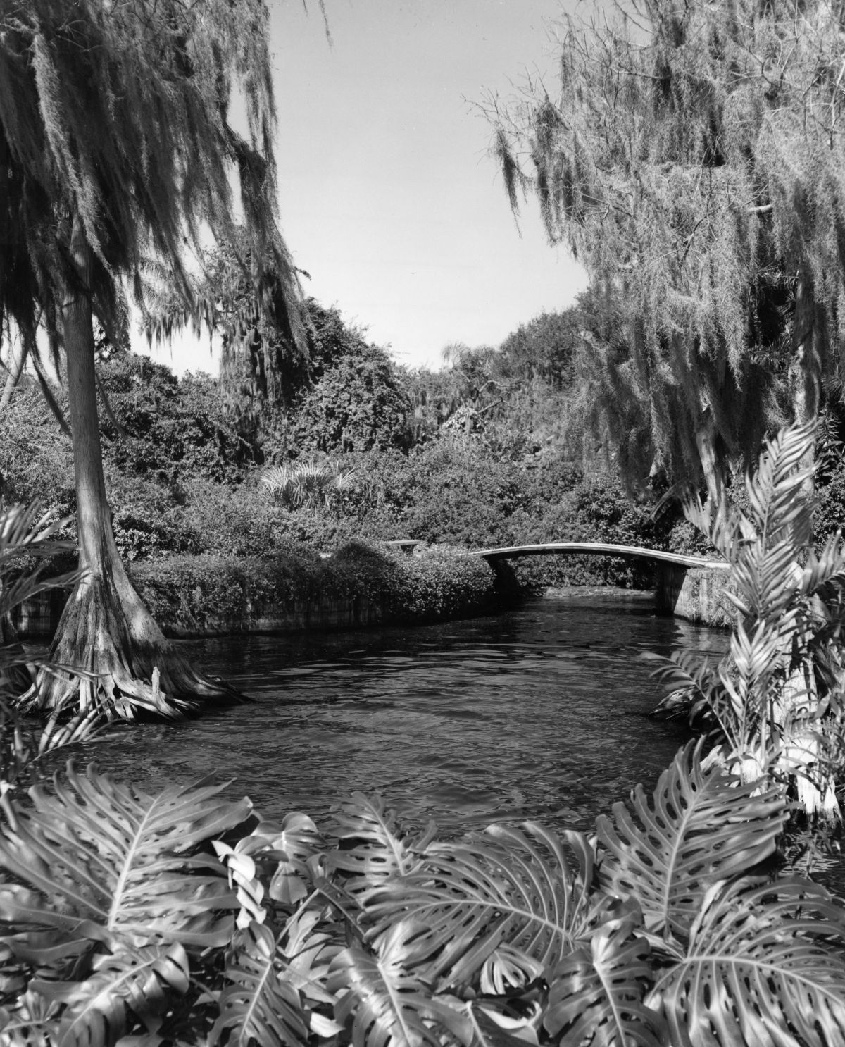 Scenic view of Cypress Gardens - Winter Haven, Florida 