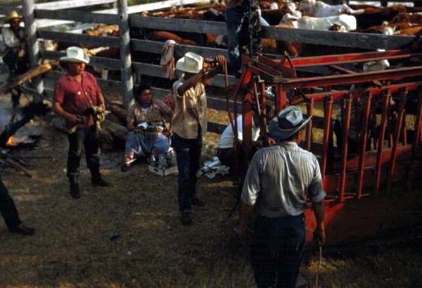 Seminole Indian cowboys at the corral - Brighton Reservation, Florida