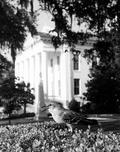 18784