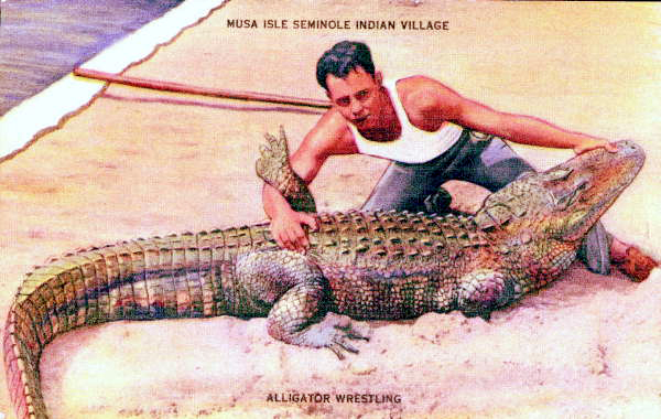 Alligator Wrestling.