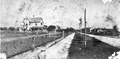 1903