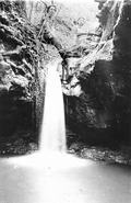 1959