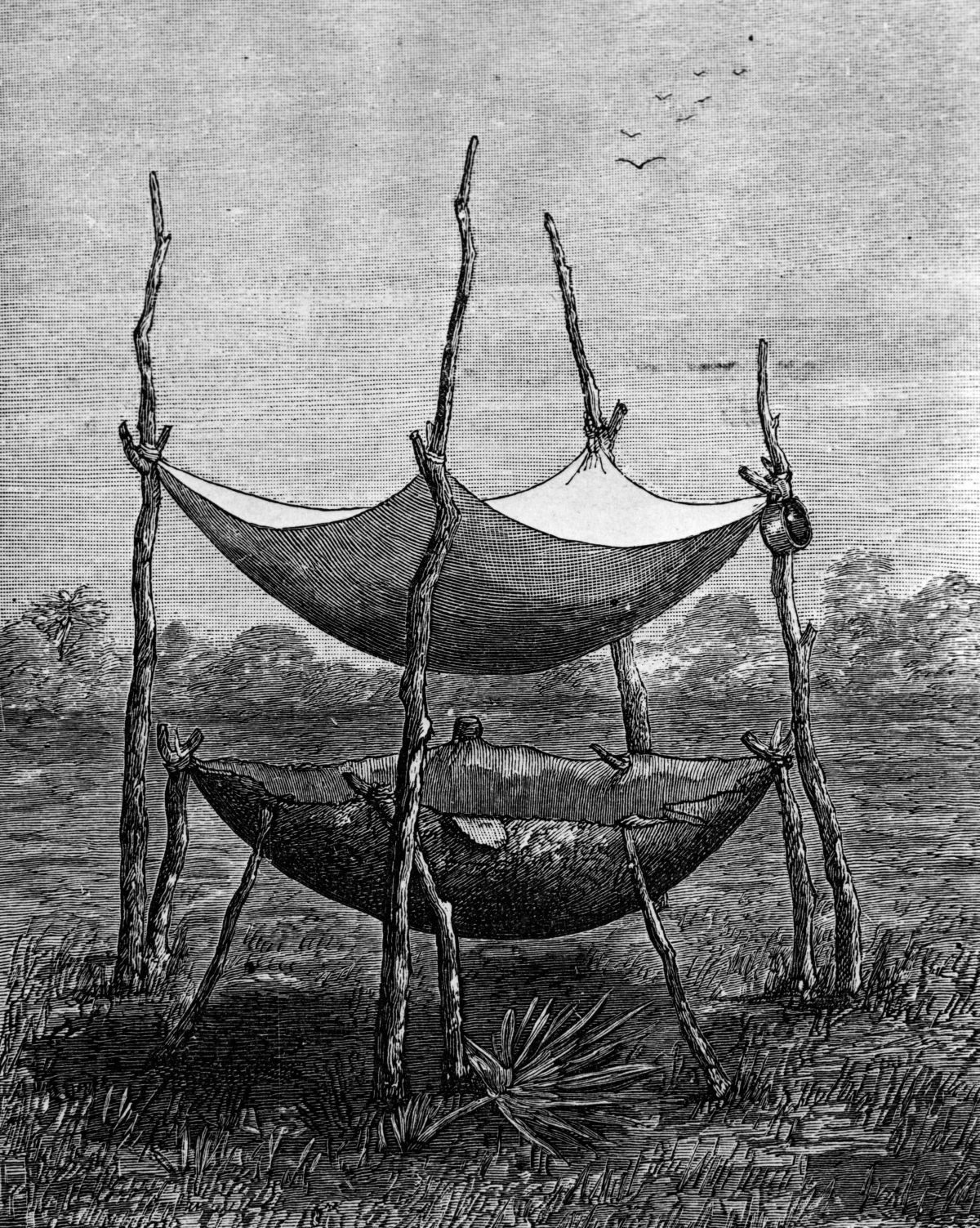 Koonti strainer