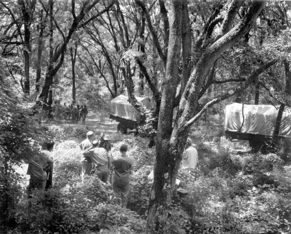 On the set during filming of Tarzan movie