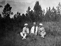 11892