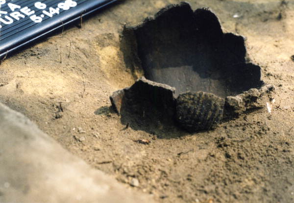 Remains of a ceramic vessel and shell dipper being uncovered during the University of North Florida's Sarabay Spanish Mission archaeological field school excavation on Big Talbot Island State Park - Jacksonville, Florida 