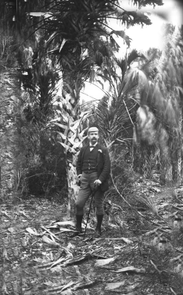 John Hamilton Gillespie poses under a large palmetto - Sarasota, Florida