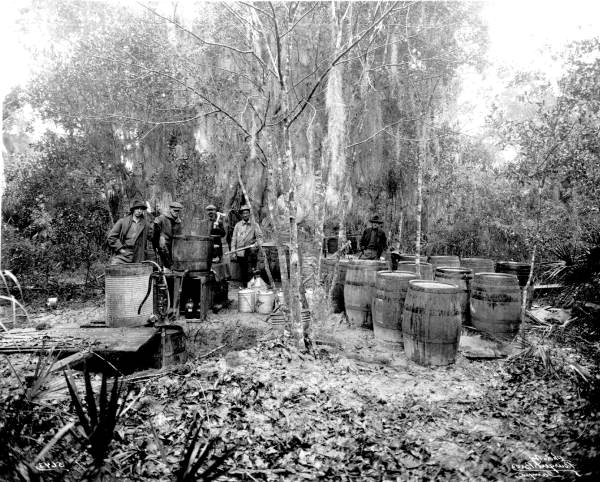 Men gathered at moonshine still after raid - Tampa, Florida
