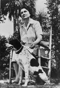 30736