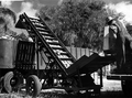 31305