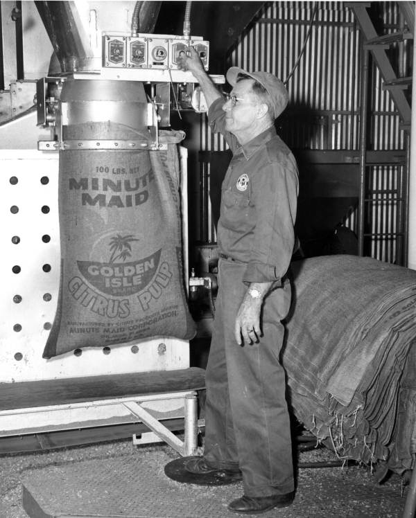 Cattle feed produced from Minute Maid Company's citrus pulp