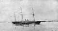 41028