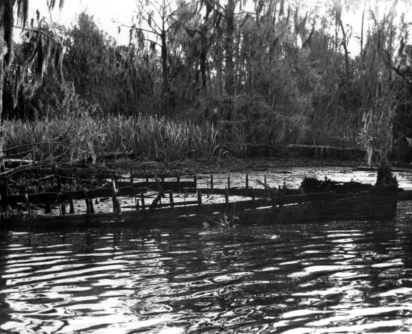 Remains of the steamer "David L. Yulee" at Yulee Bend on the Suwannee River - Florida