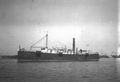 51031
