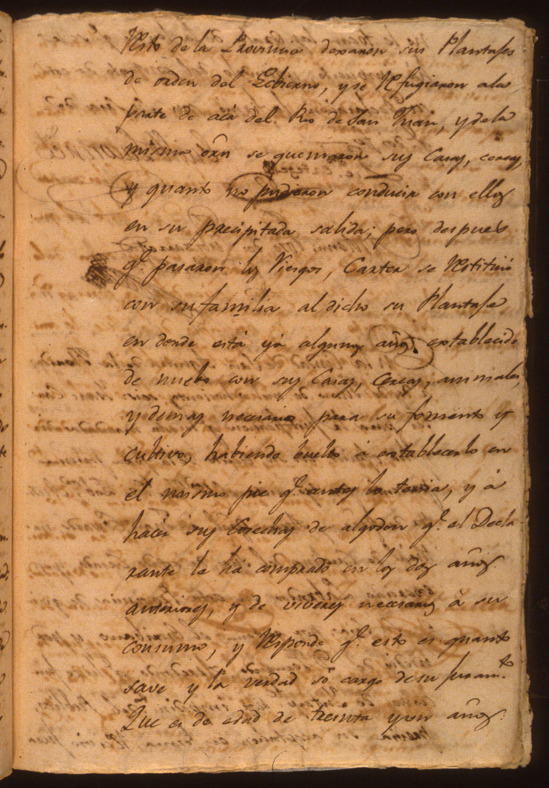 25