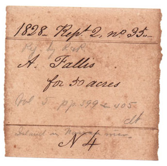 19