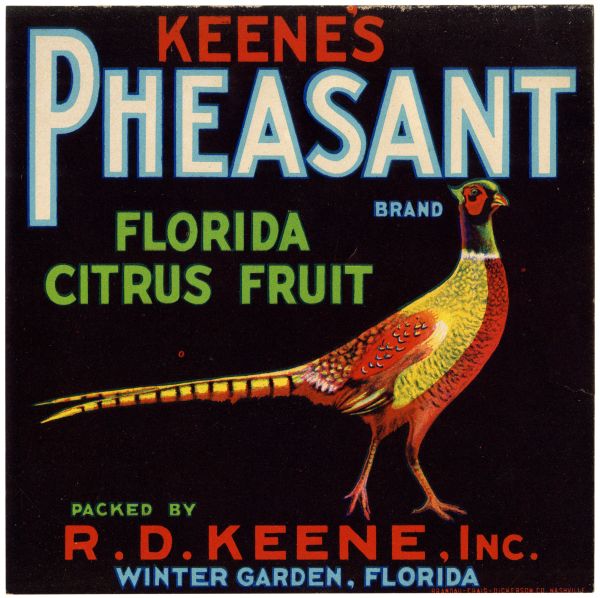 Keene's Pheasant Brand Florida Citrus Fruit Label