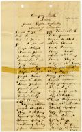 Gant Light Infantry Muster Roll, Nassau County, 1870