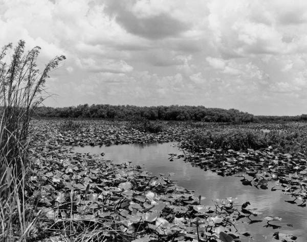 Scenic view of the St. Johns River.