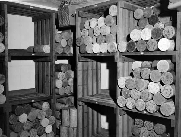 Concrete test cylinders stored in the constant temperature and humidity room - Gainesville, Florida