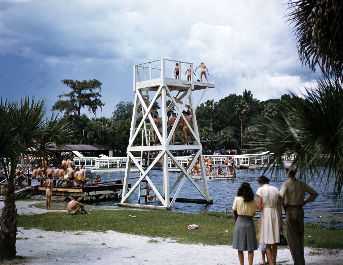 Visitors using the diving platform at the Silver Springs attraction in Ocala, Florida.